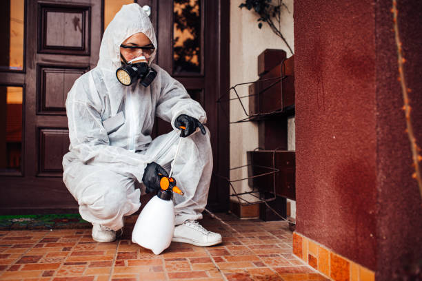 Reliable Bed Bug Control contractor in Salado, TX by Nex Pest Control